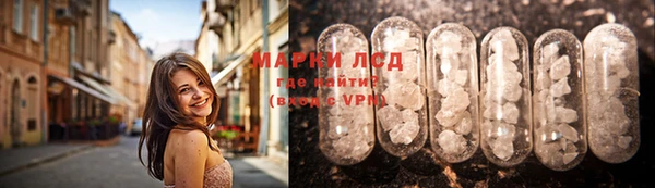 винт Аркадак