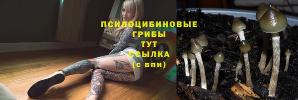 винт Аркадак
