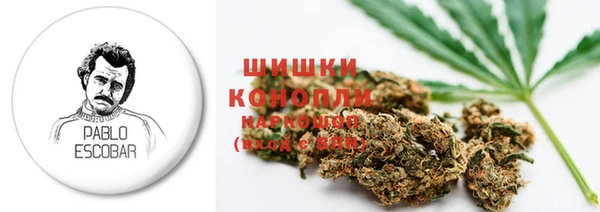 винт Аркадак