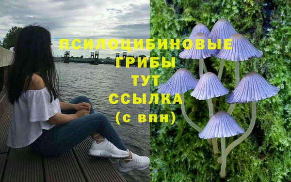 стафф Арсеньев
