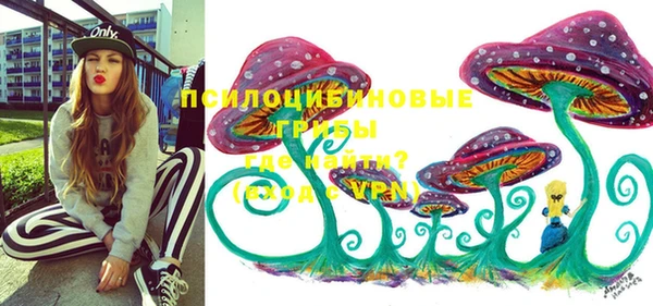 индика Алексин