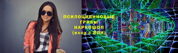 стафф Арсеньев