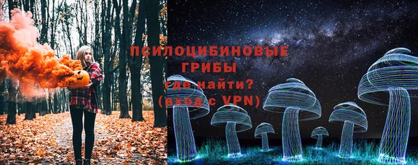 винт Аркадак