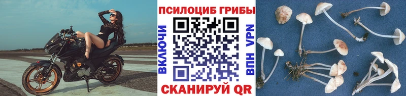 Галлюциногенные грибы MAGIC MUSHROOMS  как найти наркотики  Барабинск 