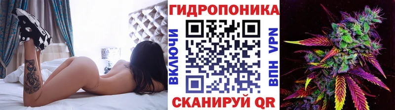 Каннабис сатива  Барабинск 